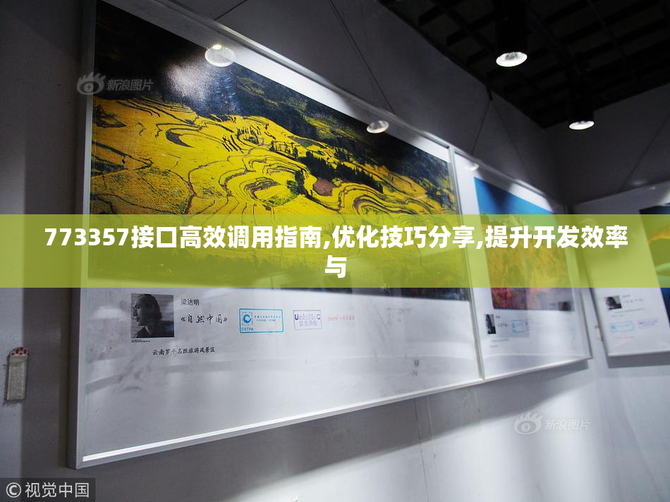 773357接口高效调用指南,优化技巧分享,提升开发效率与