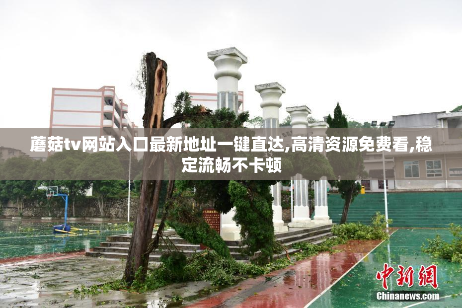 蘑菇tv网站入口最新地址一键直达,高清资源免费看,稳定流畅不卡顿