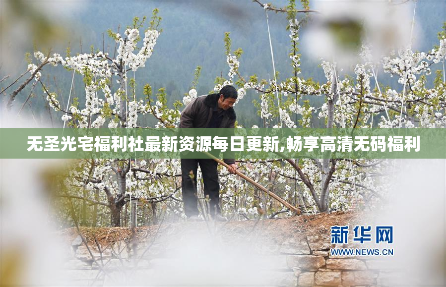 无圣光宅福利社最新资源每日更新,畅享高清无码福利