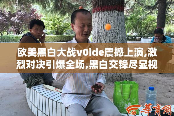 欧美黑白大战v0ide震撼上演,激烈对决引爆全场,黑白交锋尽显视觉