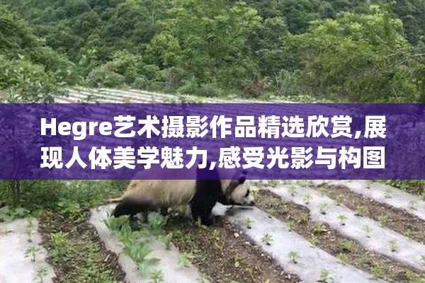 Hegre艺术摄影作品精选欣赏,展现人体美学魅力,感受光影与构图的