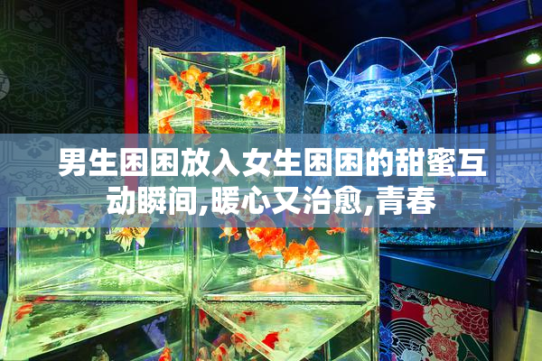 男生困困放入女生困困的甜蜜互动瞬间,暖心又治愈,青春