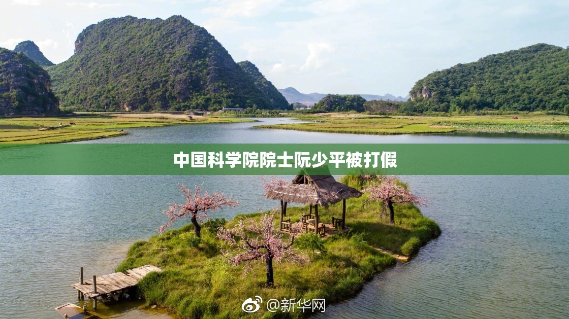 中国科学院院士阮少平被打假