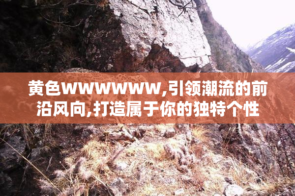 黄色WWWWWW,引领潮流的前沿风向,打造属于你的独特个性