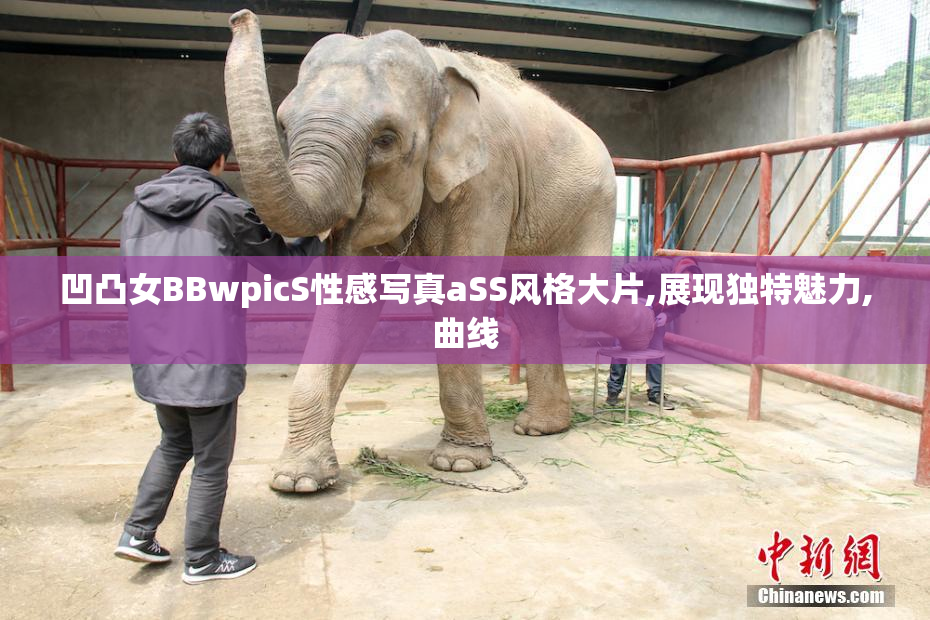 凹凸女BBwpicS性感写真aSS风格大片,展现独特魅力,曲线