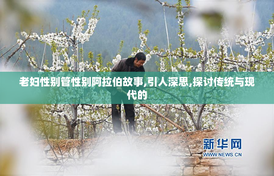 老妇性别管性别阿拉伯故事,引人深思,探讨传统与现代的