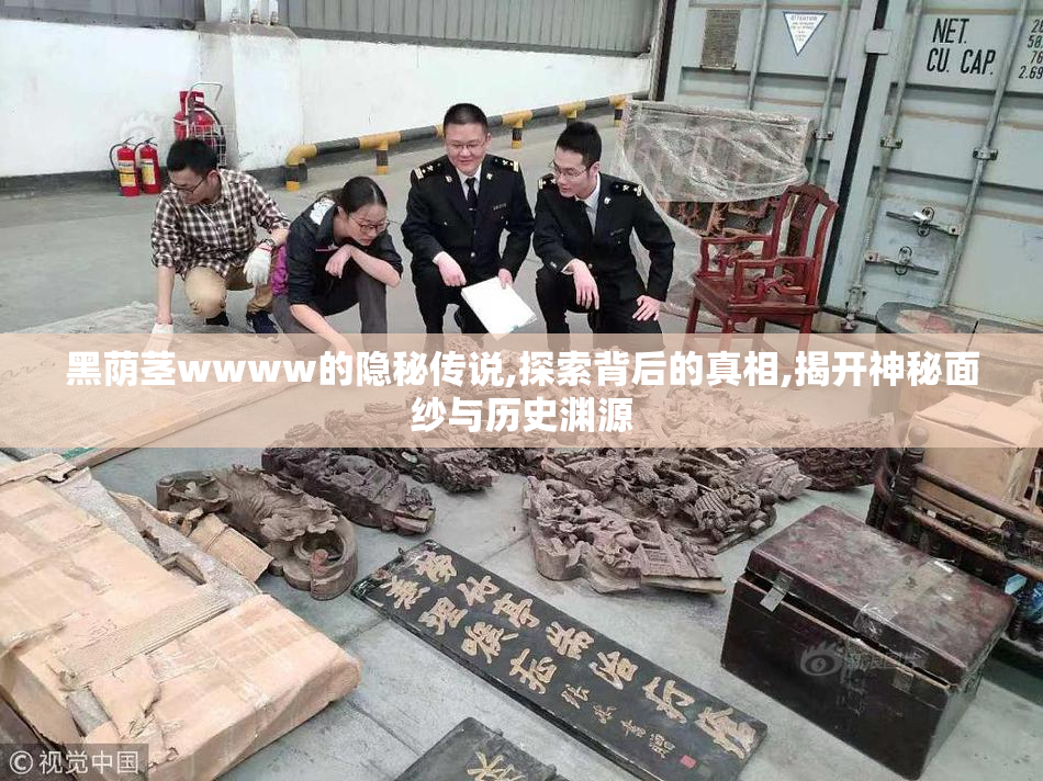 黑荫茎wwww的隐秘传说,探索背后的真相,揭开神秘面纱与历史渊源