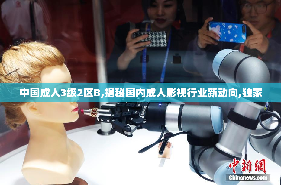 中国成人3级2区B,揭秘国内成人影视行业新动向,独家