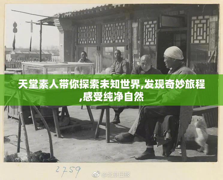 天堂素人带你探索未知世界,发现奇妙旅程,感受纯净自然
