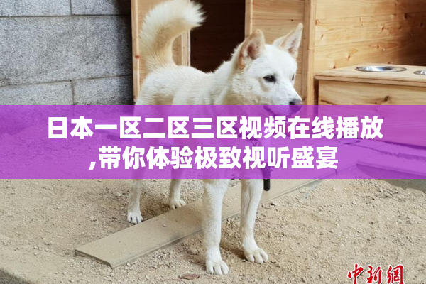 日本一区二区三区视频在线播放,带你体验极致视听盛宴