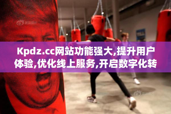 Kpdz.cc网站功能强大,提升用户体验,优化线上服务,开启数字化转型