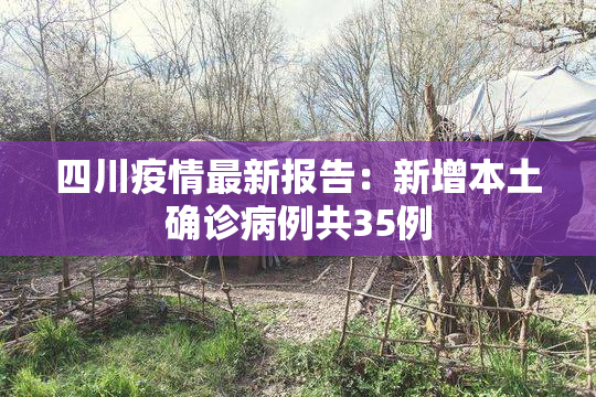 四川疫情最新报告：新增本土确诊病例共35例