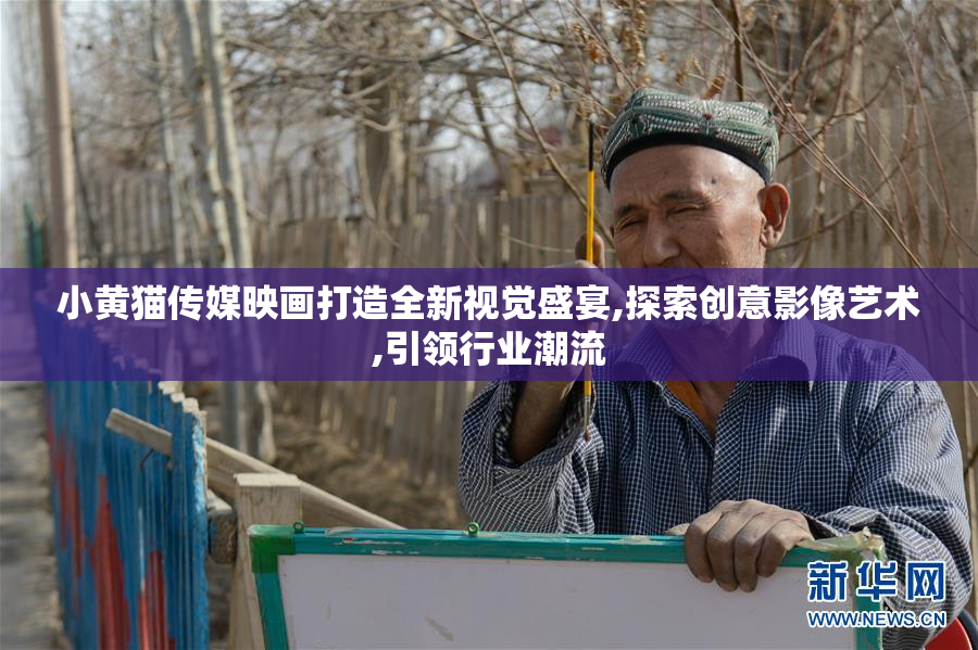 小黄猫传媒映画打造全新视觉盛宴,探索创意影像艺术,引领行业潮流
