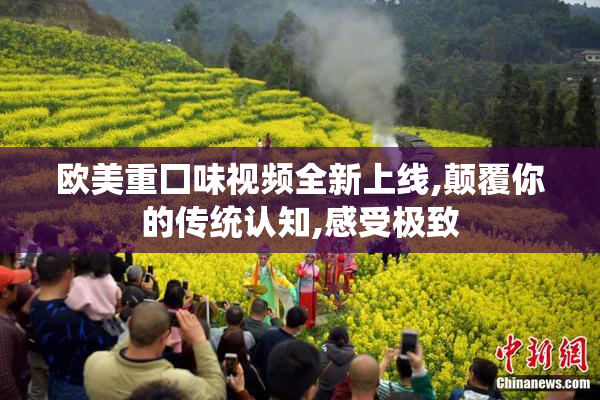 欧美重囗味视频全新上线,颠覆你的传统认知,感受极致
