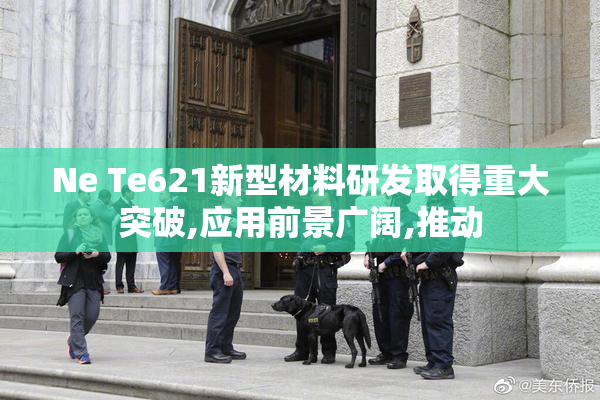 Ne Te621新型材料研发取得重大突破,应用前景广阔,推动