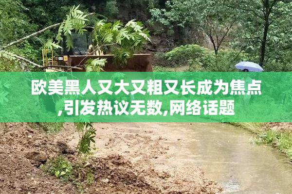 欧美黑人又大又粗又长成为焦点,引发热议无数,网络话题