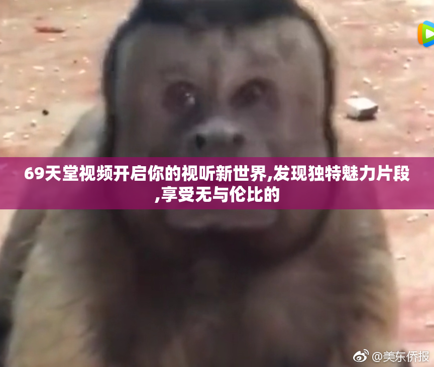 69天堂视频开启你的视听新世界,发现独特魅力片段,享受无与伦比的
