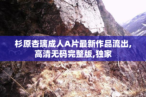 杉原杏璃成人A片最新作品流出,高清无码完整版,独家