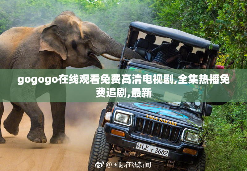 gogogo在线观看免费高清电视剧,全集热播免费追剧,最新