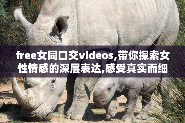 free女同口交videos,带你探索女性情感的深层表达,感受真实而细腻