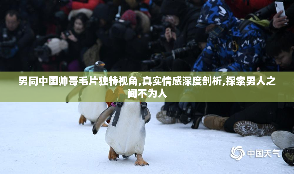 男同中国帅哥毛片独特视角,真实情感深度剖析,探索男人之间不为人