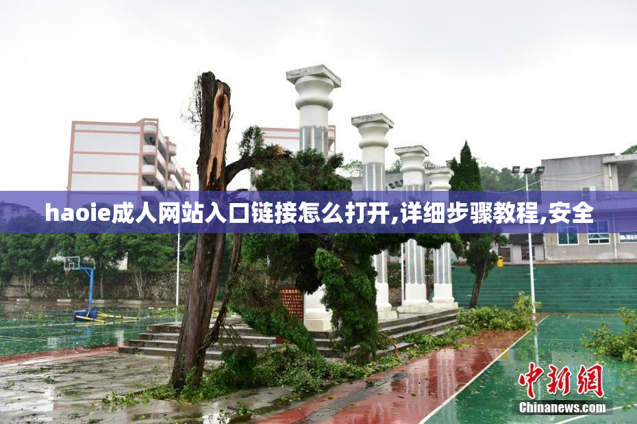 haoie成人网站入口链接怎么打开,详细步骤教程,安全