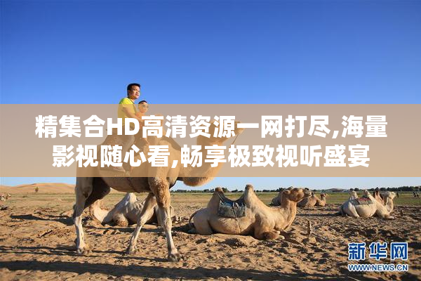 精集合HD高清资源一网打尽,海量影视随心看,畅享极致视听盛宴