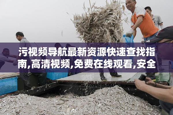 污视频导航最新资源快速查找指南,高清视频,免费在线观看,安全稳定