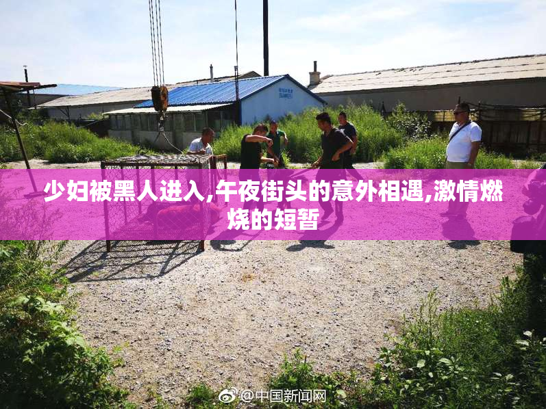 少妇被黑人进入,午夜街头的意外相遇,激情燃烧的短暂