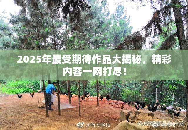 2025年最受期待作品大揭秘，精彩内容一网打尽！