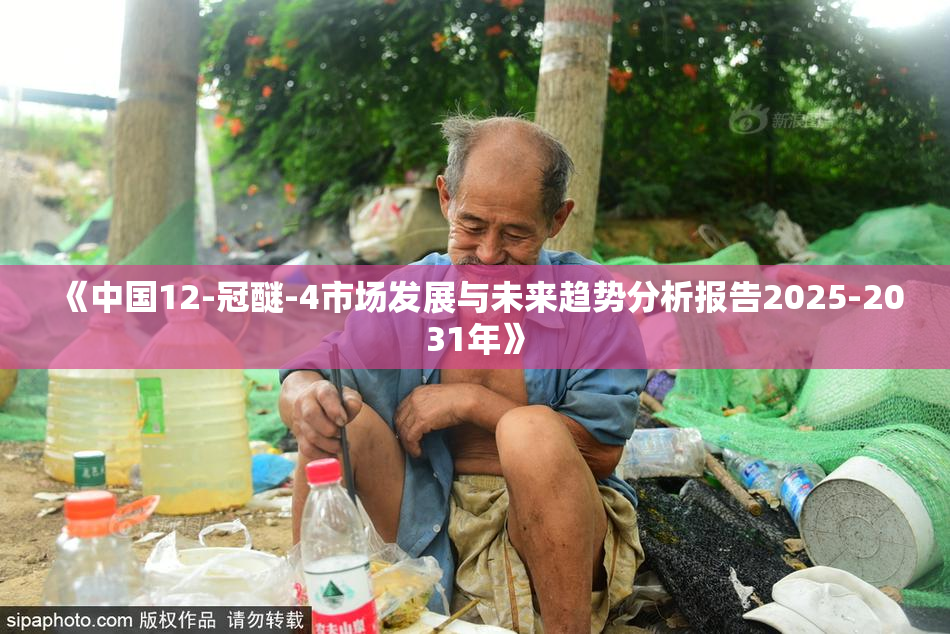 《中国12-冠醚-4市场发展与未来趋势分析报告2025-2031年》
