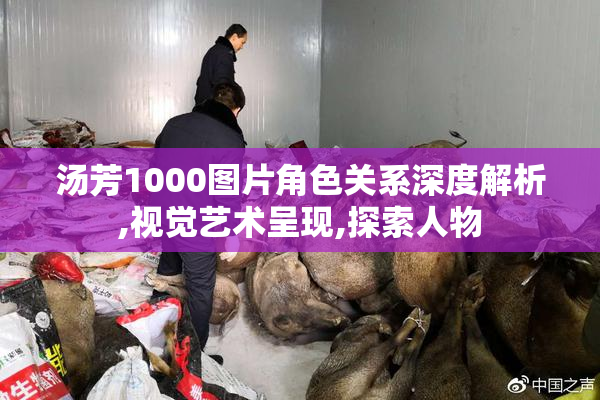 汤芳1000图片角色关系深度解析,视觉艺术呈现,探索人物