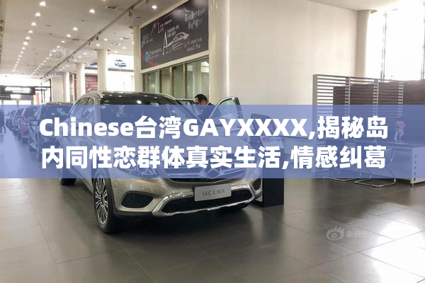 Chinese台湾GAYXXXX,揭秘岛内同性恋群体真实生活,情感纠葛引发