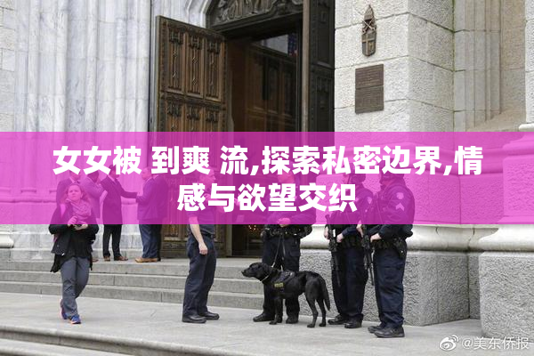 女女被 到爽 流,探索私密边界,情感与欲望交织