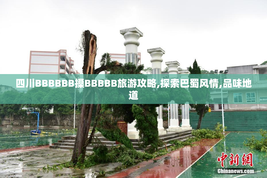 四川BBBBBB搡BBBBB旅游攻略,探索巴蜀风情,品味地道
