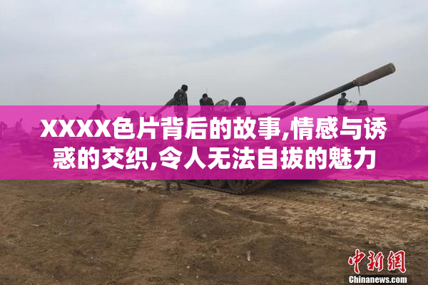 XXXX色片背后的故事,情感与诱惑的交织,令人无法自拔的魅力