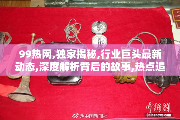 99热网,独家揭秘,行业巨头最新动态,深度解析背后的故事,热点追踪