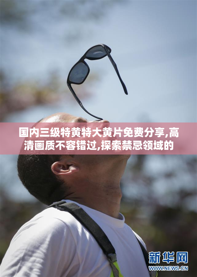 国内三级特黄特大黄片免费分享,高清画质不容错过,探索禁忌领域的