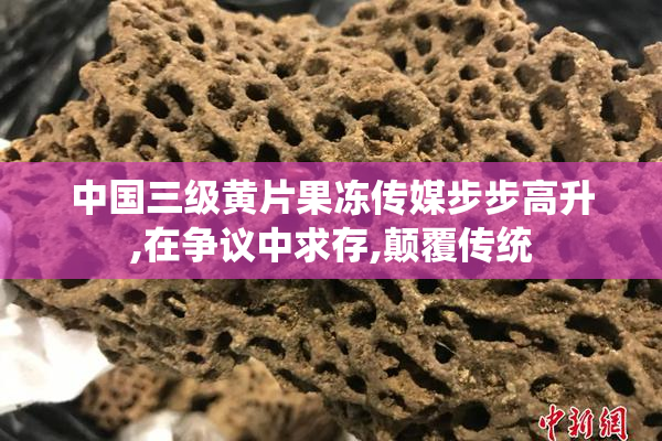 中国三级黄片果冻传媒步步高升,在争议中求存,颠覆传统