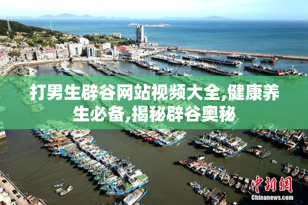打男生辟谷网站视频大全,健康养生必备,揭秘辟谷奥秘