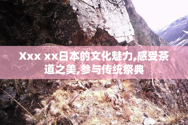 Xxx xx日本的文化魅力,感受茶道之美,参与传统祭典