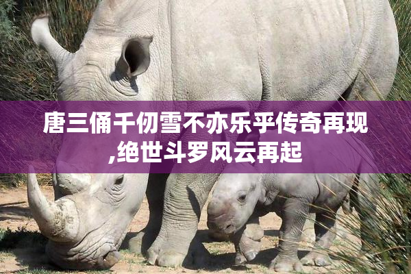 唐三俑千仞雪不亦乐乎传奇再现,绝世斗罗风云再起