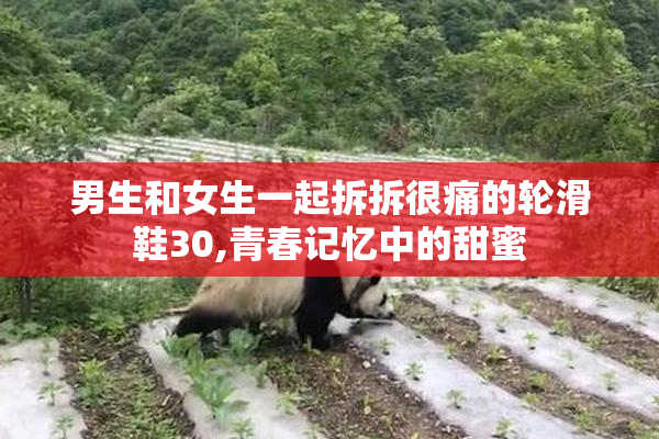男生和女生一起拆拆很痛的轮滑鞋30,青春记忆中的甜蜜