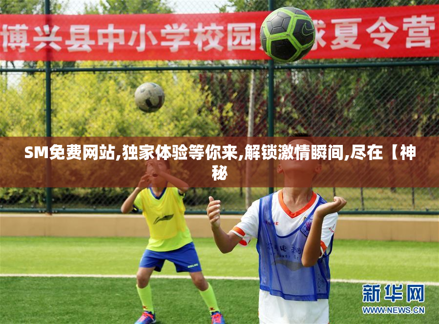 SM免费网站,独家体验等你来,解锁激情瞬间,尽在【神秘