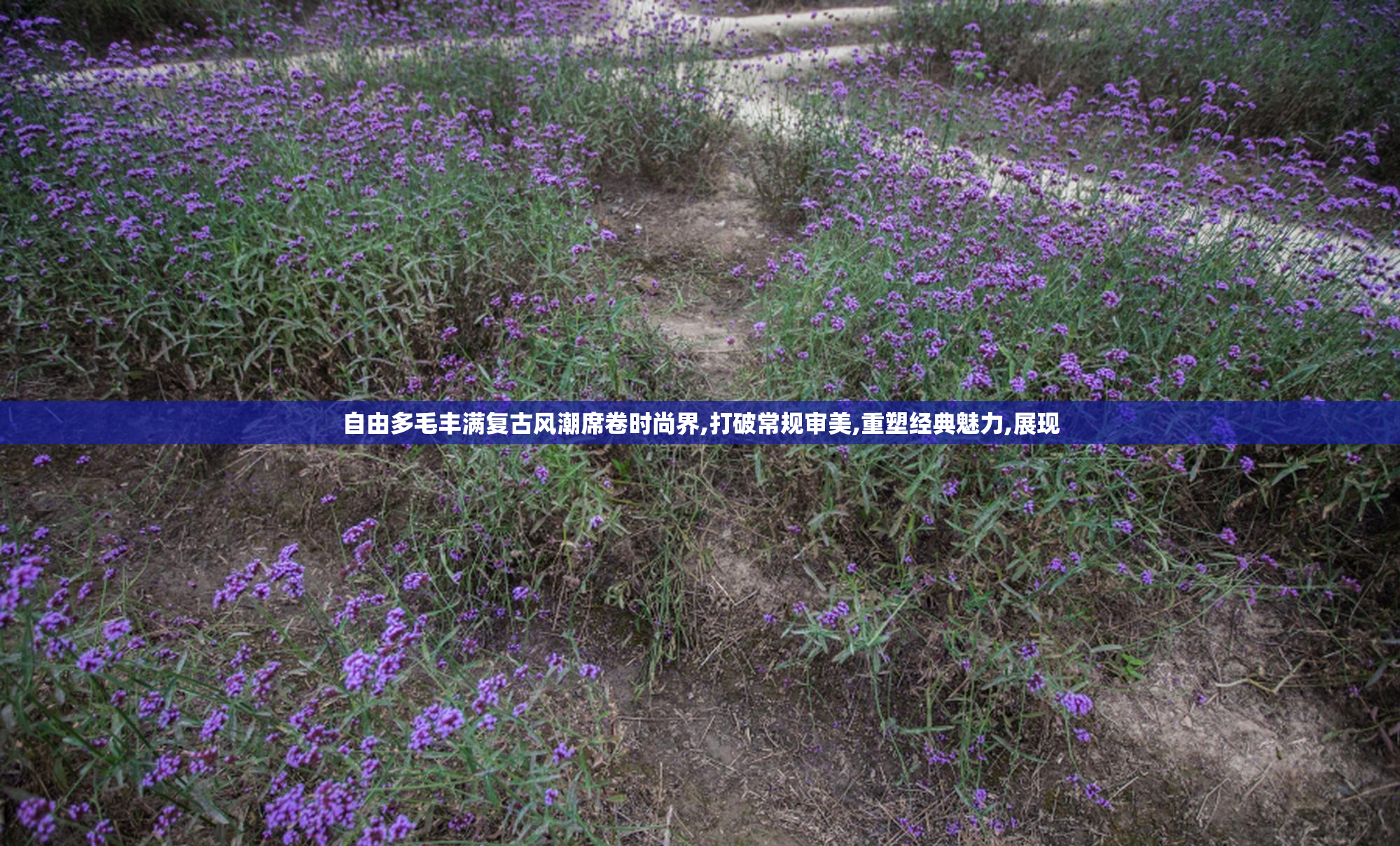 自由多毛丰满复古风潮席卷时尚界,打破常规审美,重塑经典魅力,展现
