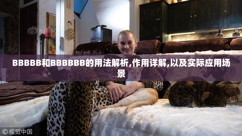 BBBBB和BBBBBB的用法解析,作用详解,以及实际应用场景
