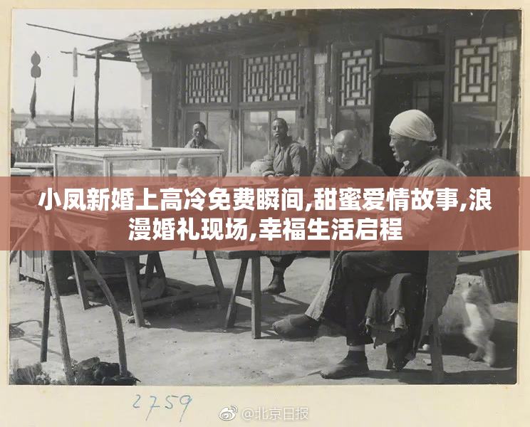 小凤新婚上高冷免费瞬间,甜蜜爱情故事,浪漫婚礼现场,幸福生活启程