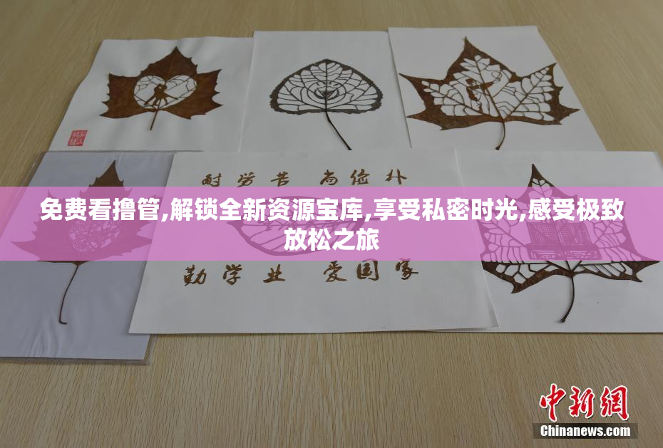 免费看撸管,解锁全新资源宝库,享受私密时光,感受极致放松之旅