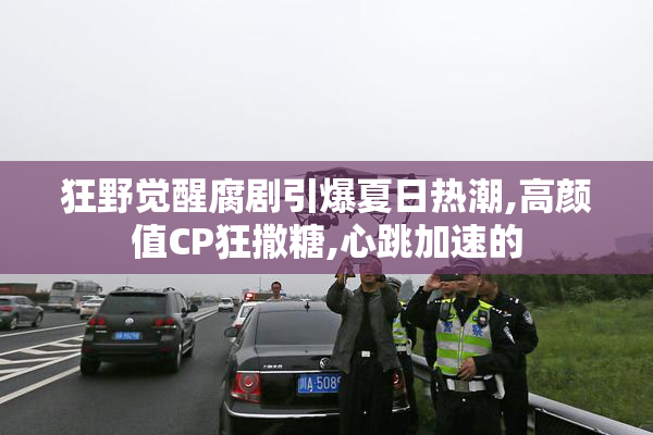 狂野觉醒腐剧引爆夏日热潮,高颜值CP狂撒糖,心跳加速的