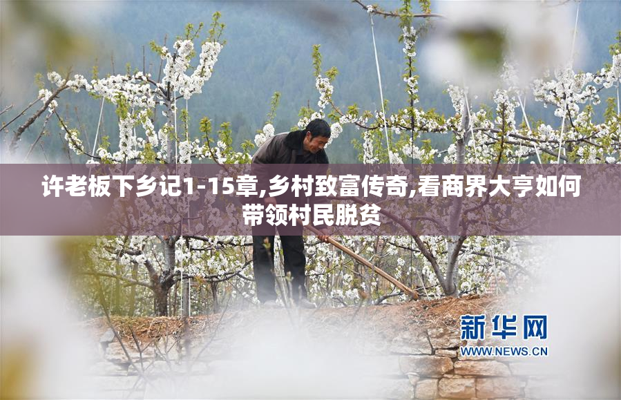 许老板下乡记1-15章,乡村致富传奇,看商界大亨如何带领村民脱贫
